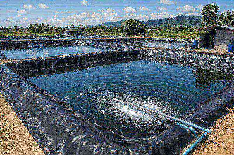 HDPE геомембрана в рыбоводческом водоеме